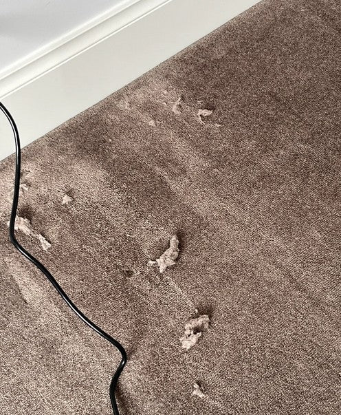 "Help! My Rug is Shedding Like a Fluffy Dog 🐶 – What’s Going On?"