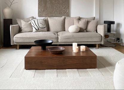 Washable wool rug in cozy living room setting