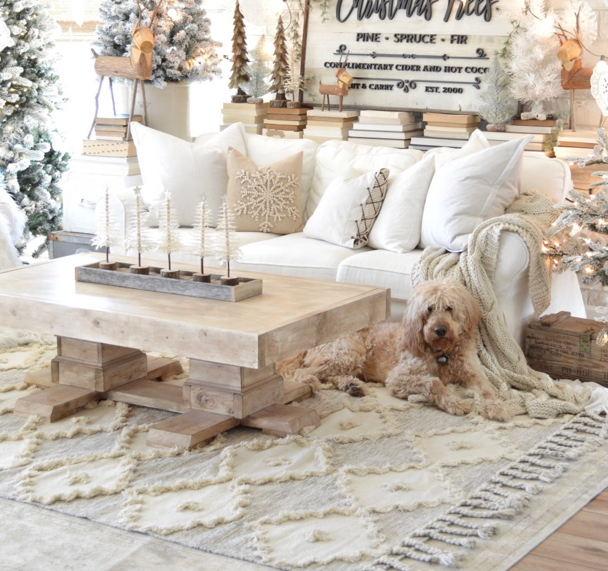 Amazing looking living room with sofas bird features coffee table and a dog sitting and looking at the rug made in wool with braids in white ivory grey