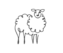 a cute little lamb