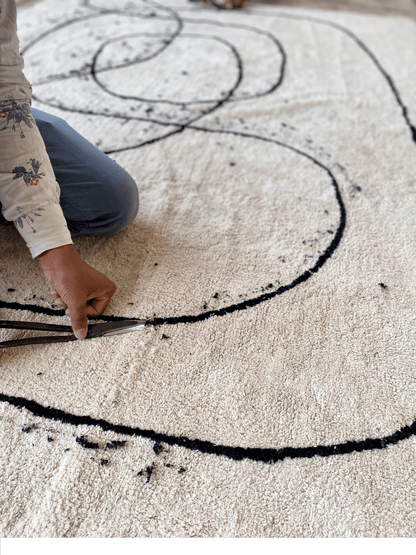 [Living Room Rug], [Custom Carpet] [Area Rug] [Washable Rug] [Rich Class Decor] 