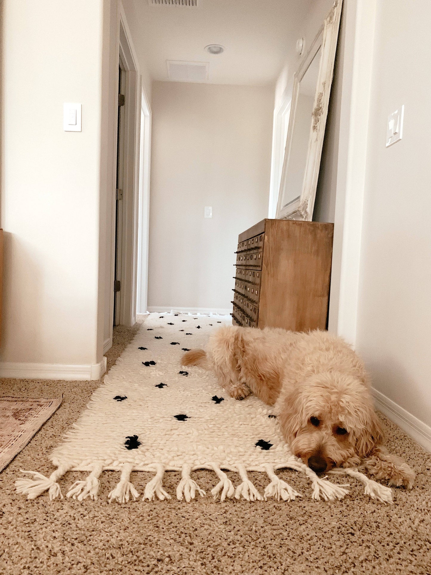Holly rug polka dot wool handmade hallway runner