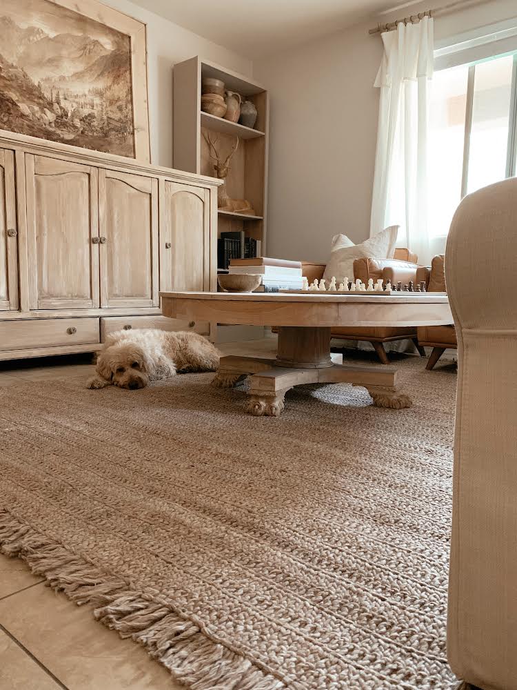[Brown Rug], [Living Room Rug] [Taupe Rug] [Beige Rug] [Rich Class Decor] 